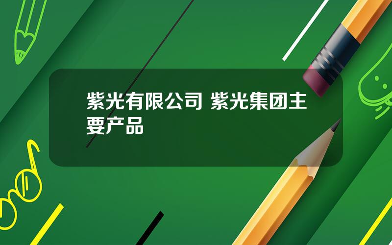 紫光有限公司 紫光集团主要产品